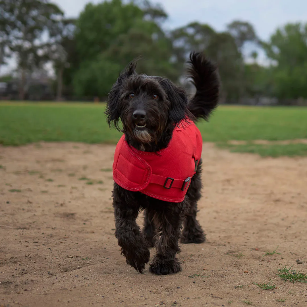 Adventure Dog Coat with Harness Hatch - Red