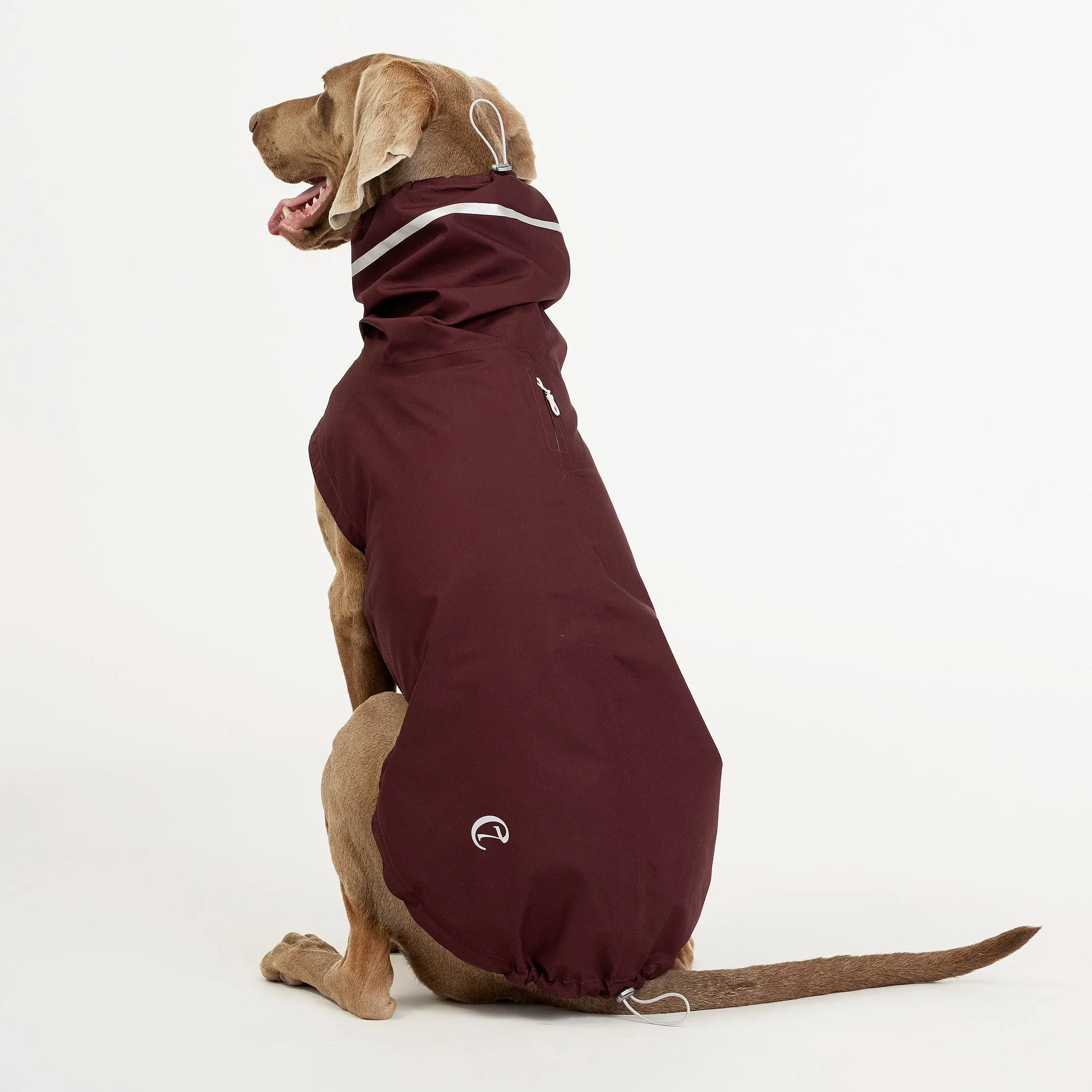 Cloud7 London Dog Rain Coat with Belly Protector in Bordeaux