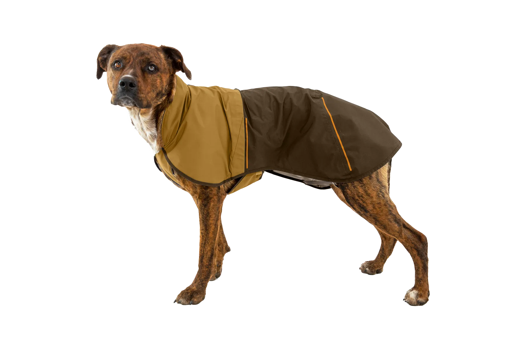 Sun Shower™ Dog Raincoat