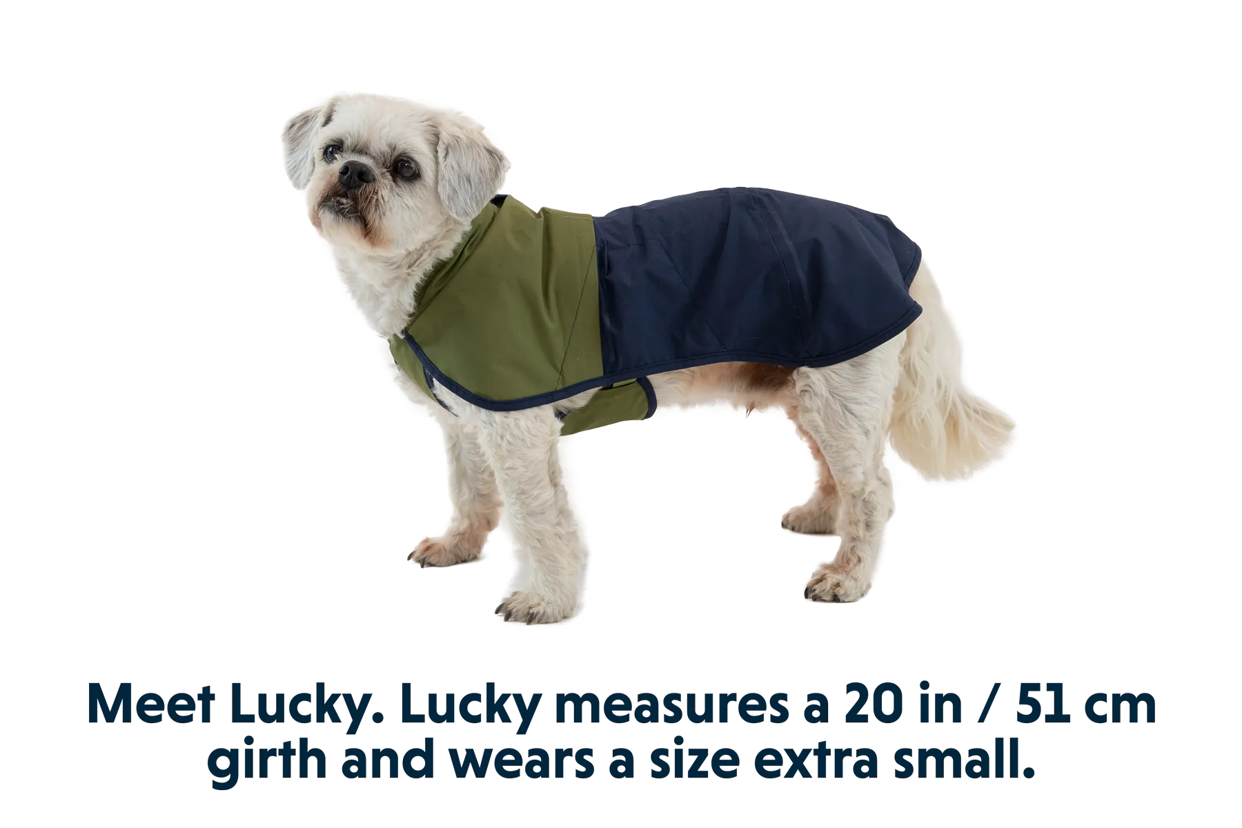 Sun Shower™ Dog Raincoat