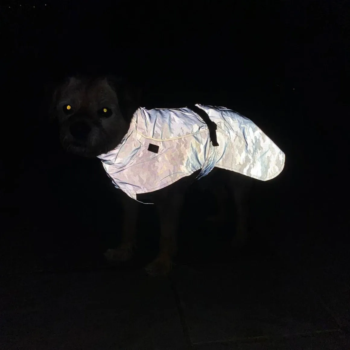 Trixie Lunas Reflective Dog Raincoat